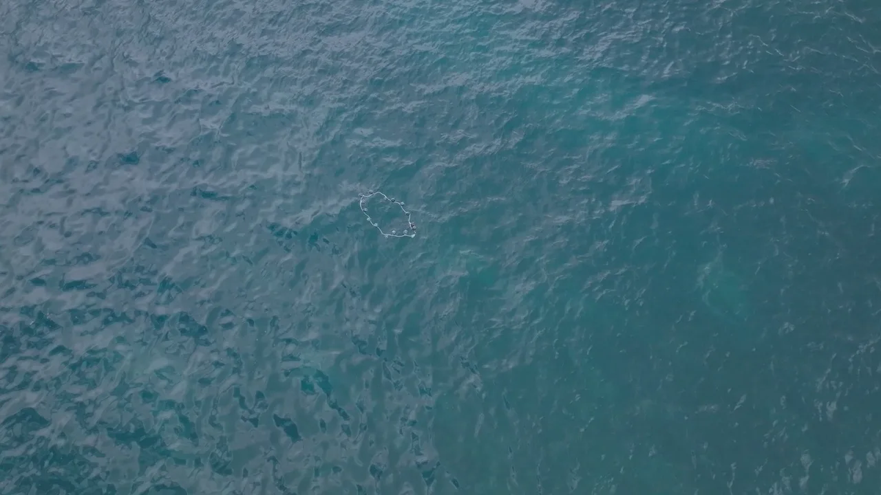 Dotted Line on the Sea