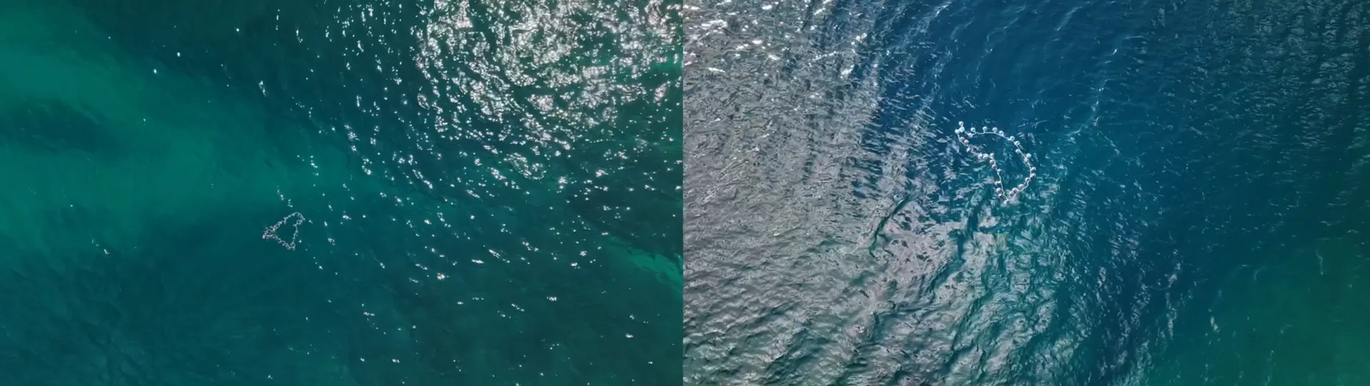 Dotted Line on the Sea II
