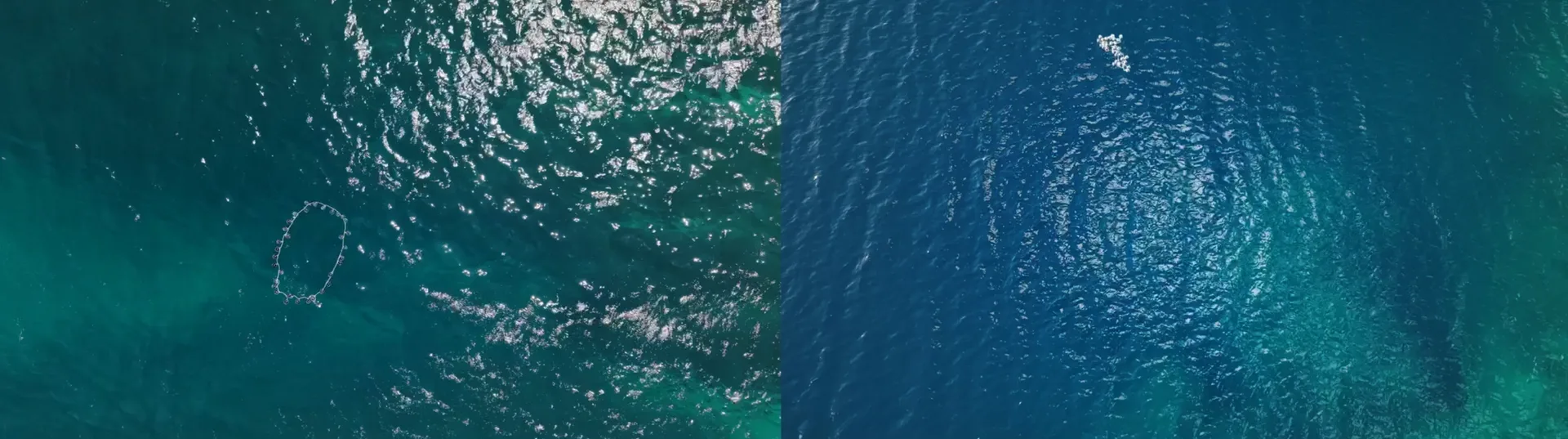Dotted Line on the Sea II