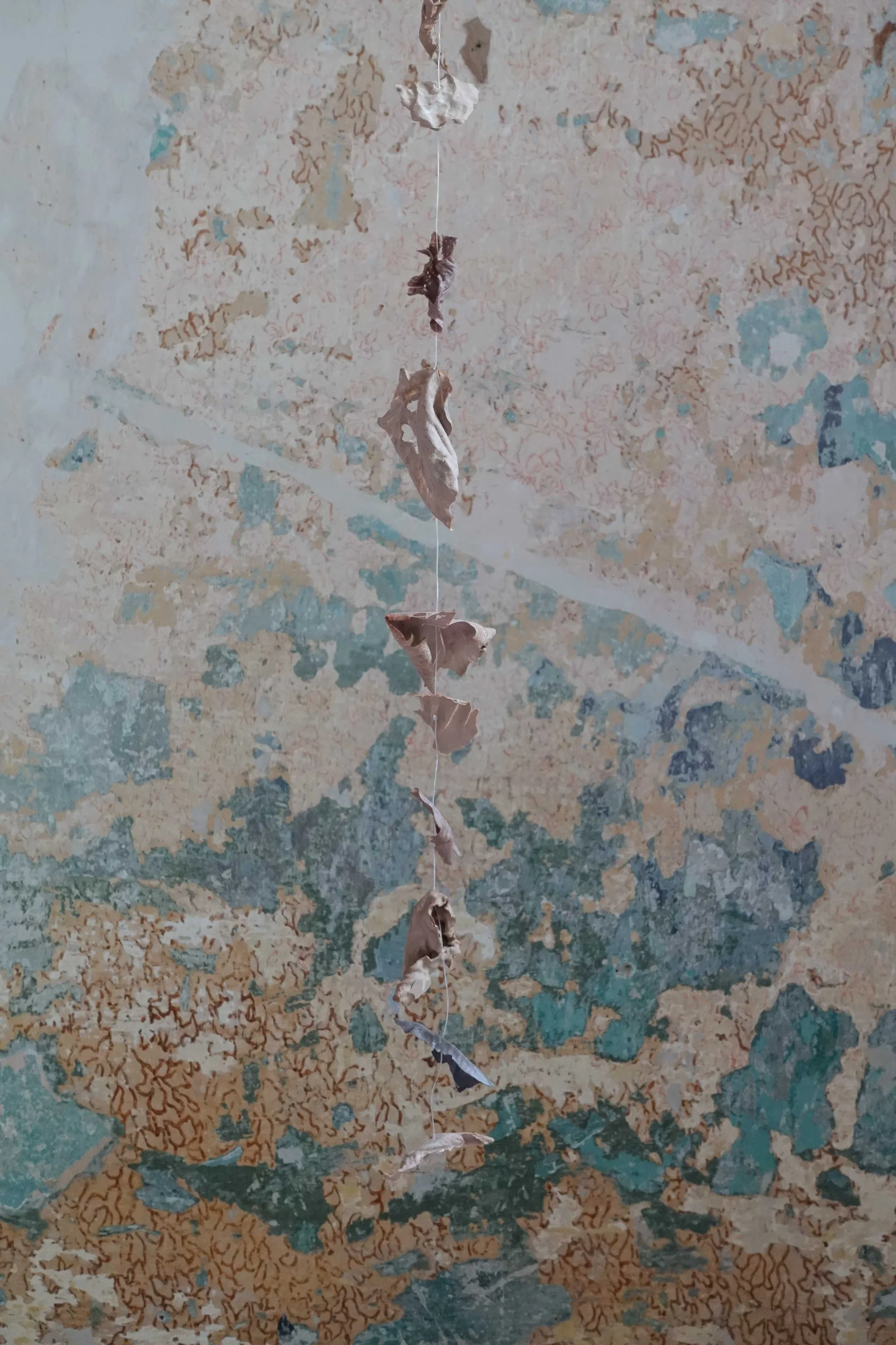 Brachiale Artist Residency