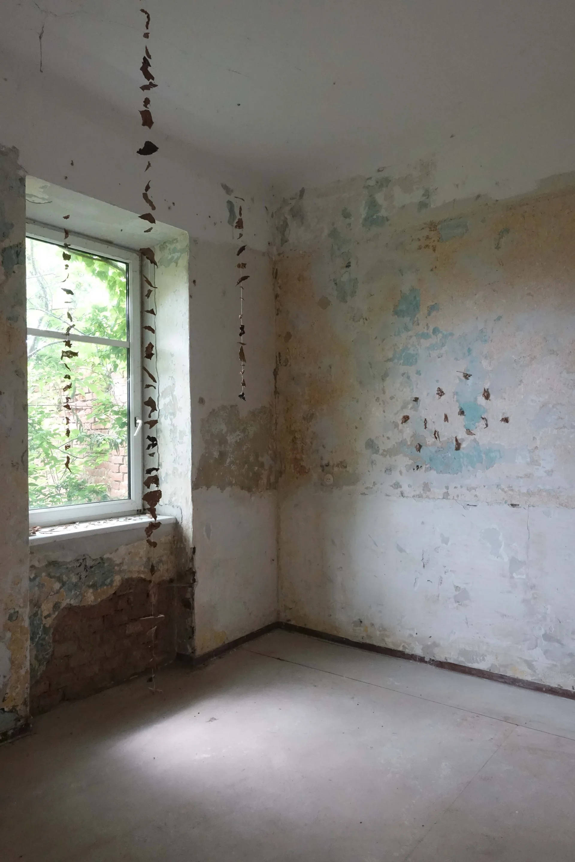 Brachiale Artist Residency