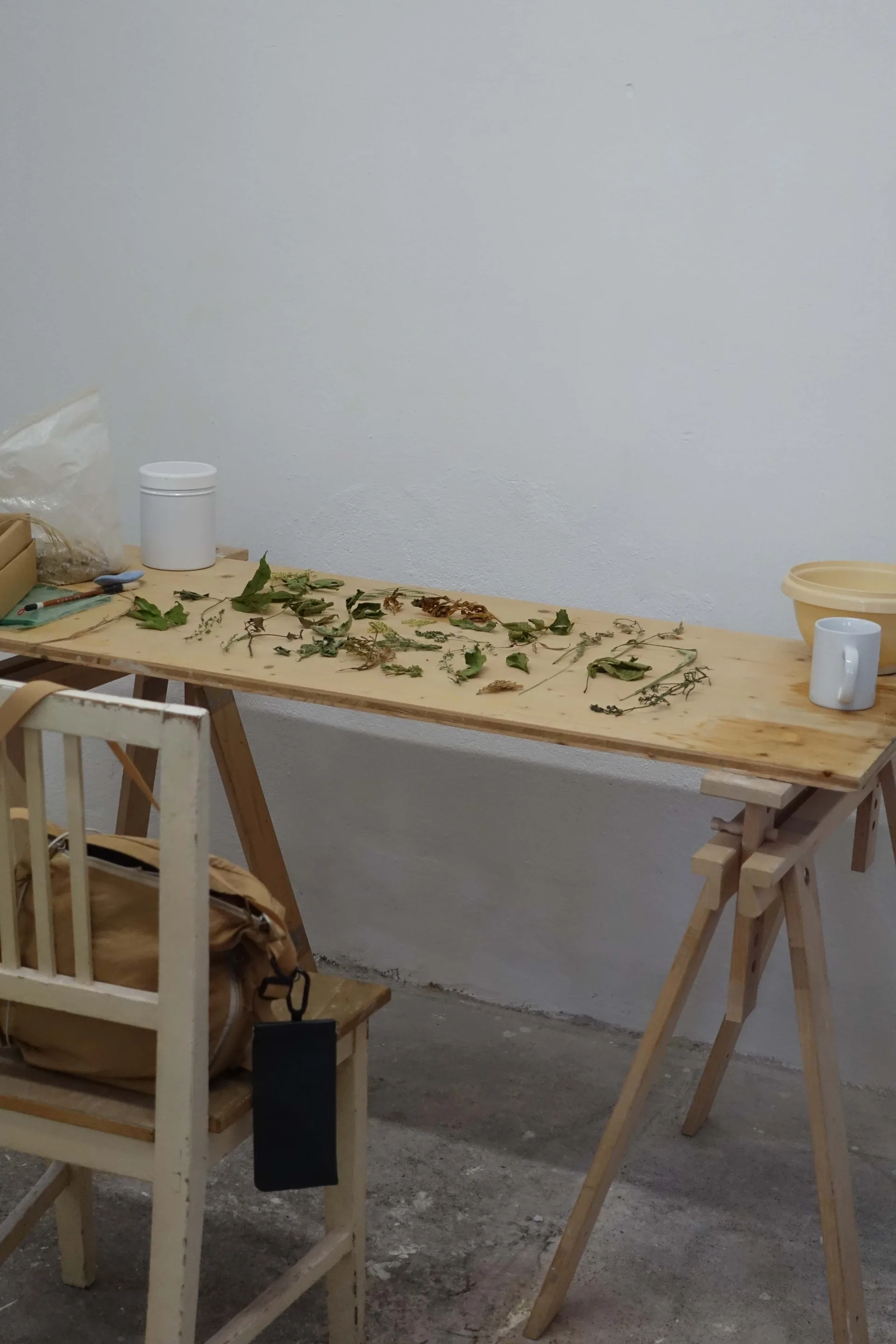 Brachiale Artist Residency
