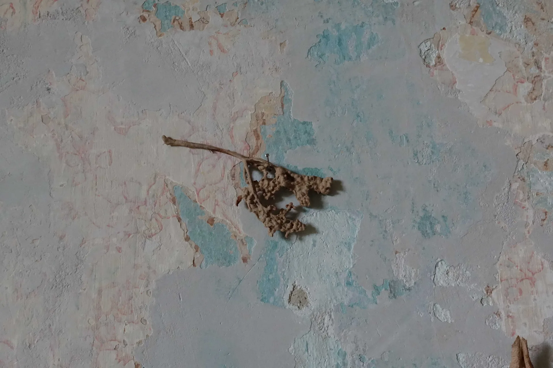 Brachiale Artist Residency