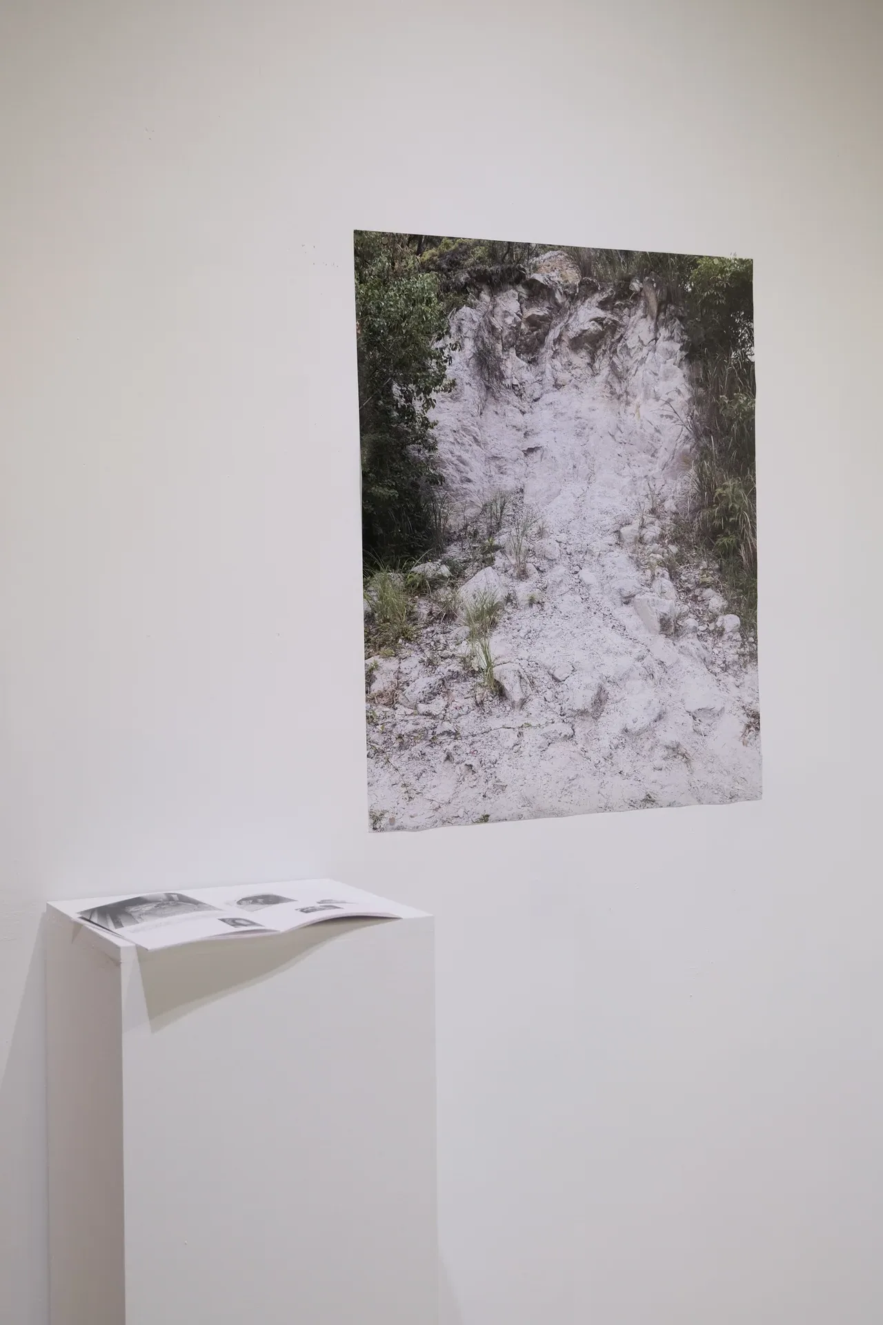 White Ground