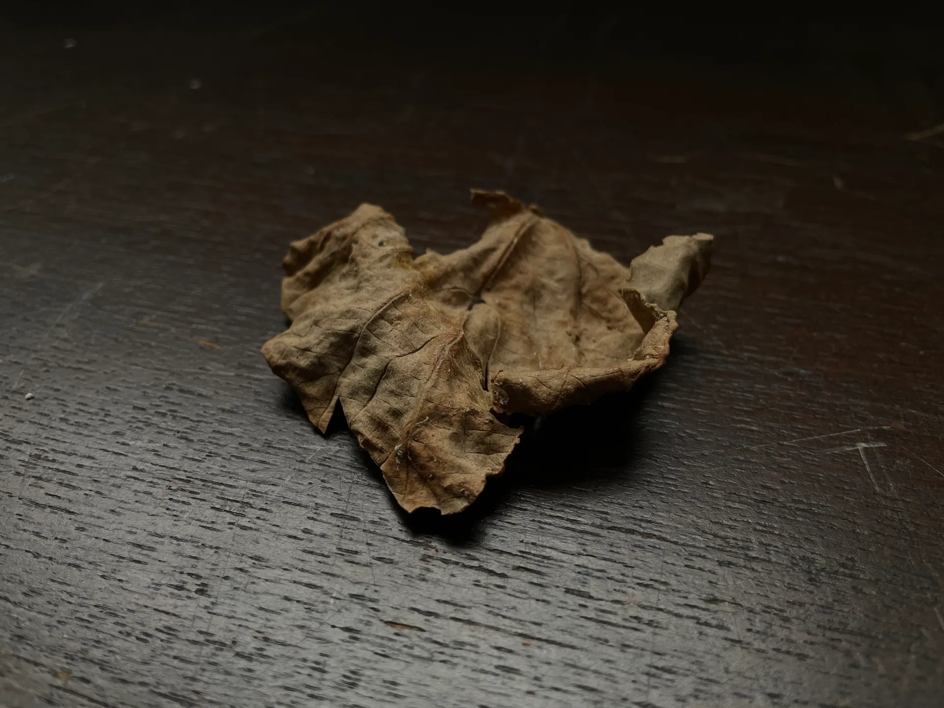 Withered